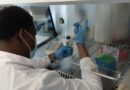 El Dr. López Perea de la Universidad Tecnológica del Chocó (Colombia) investiga en Sertoxmur sobre los efectos in vitro de los rodenticidas anticoagulantes.